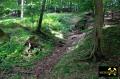 Grube Apollo bei Raubach nahe Puderbach im Westerwald, Rheinland-Pfalz, (D) (16) 07. Juni 2015.JPG